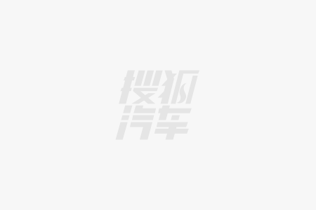 DM-i问鼎“Dear Car 2025”麻将胡了2科技的意义在于普及秦L海豹06(图1)
